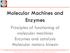 Molecular Machines and Enzymes