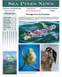 PINES NEWS SEA. Inside this issue: Deed Restricted Community. Sea Pines, in Hudson Florida. SeaPinesFl.com Volume X, Issue VII