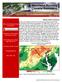 October Precipitation Statistics (124 Years) Rank: Figure 2: Historical October precipitation time series for Maryland.