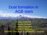Dust formation in AGB stars. David Gobrecht Sergio Cristallo Luciano Piersanti Stefan T. Bromley Isabelle Cherchneff & Arkaprabha Sarangi