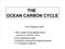THE OCEAN CARBON CYCLE