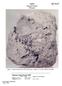12052 Pigeonite Basalt 1866 grams